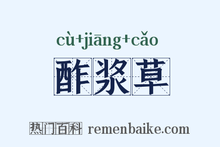 酢浆草是什么意思的图片